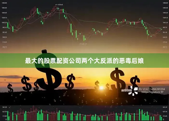 最大的股票配资公司两个大反派的恶毒后娘