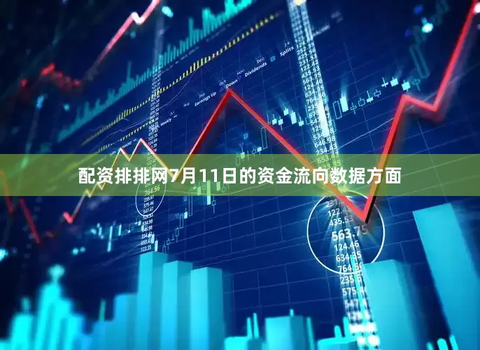配资排排网7月11日的资金流向数据方面