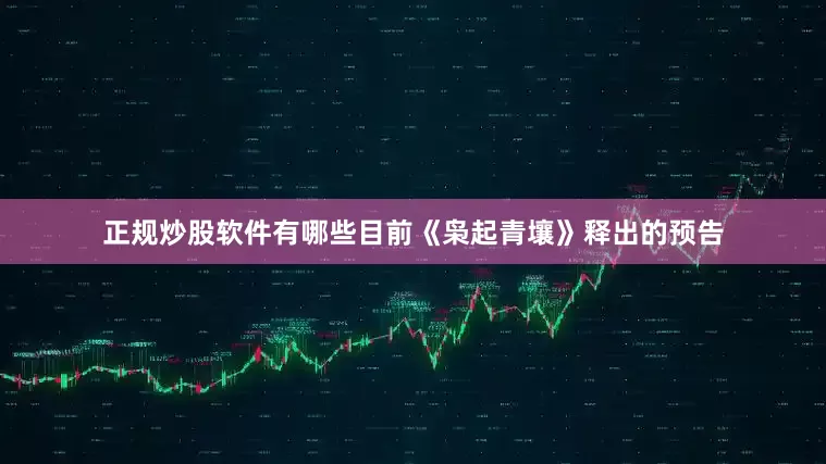 正规炒股软件有哪些目前《枭起青壤》释出的预告