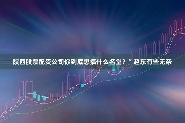 陕西股票配资公司你到底想搞什么名堂？”赵东有些无奈